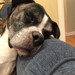 Meet your Posher, Ruth